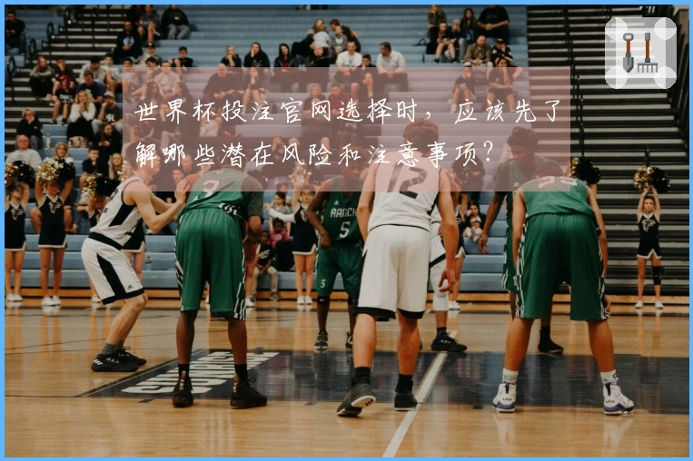 世界杯投注官网选择时，应该先了解哪些潜在风险和注意事项？